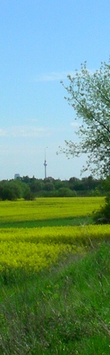 Berlin Lübars - Blick Richtung Alexanderplatz