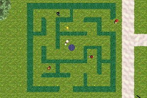 Labyrinth