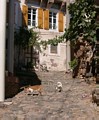 in der Altstadt von Ali Bey