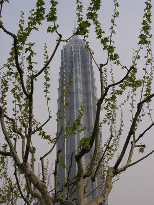 Shanghai - Pudong