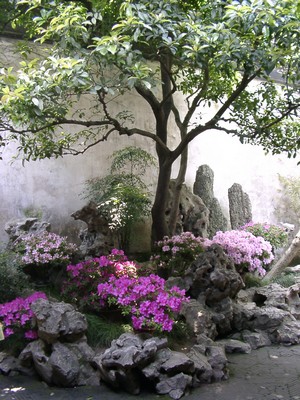 Shanghai - Suzhou Lingering Garden