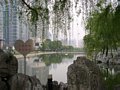 Irgendwas hat der Lujiazui Park mit Liebe zu tun. Diese Herzen findet man an vielen Stellen