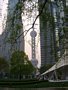 Der Oriental Pearl Tower schaut auch hier ab und zu zwischen den Hochhäusern durch.