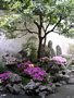 chinesische Garten Impressionen