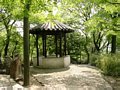 chinesische Garten Impressionen