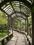 chinesische Garten Impressionen