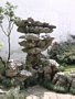 chinesische Garten Impressionen